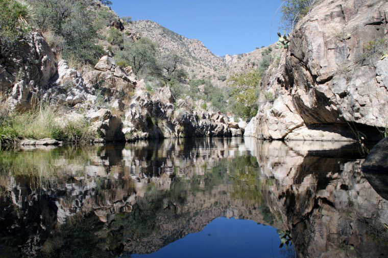 Hutch's Pool - Sabino Canyon